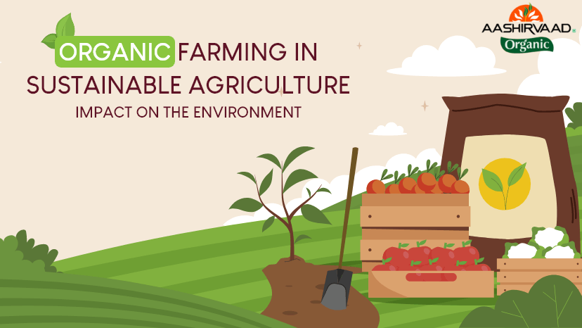 The Role of Organic Farming in Sustainable Agriculture: Impact on the Environment